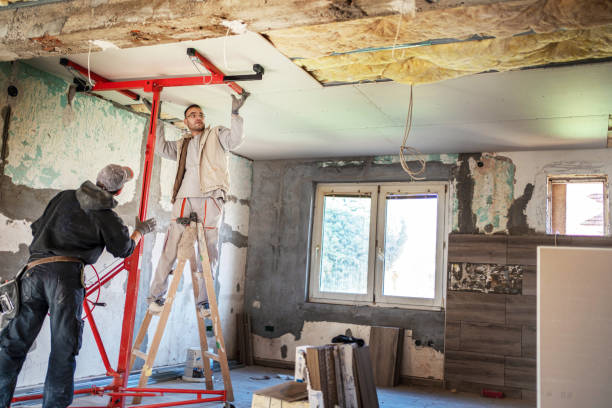 Best Local Insulation Services  in USA