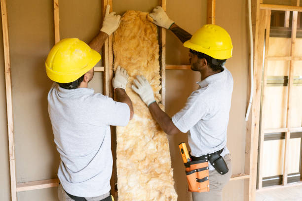 Best Insulation Replacement Services  in USA